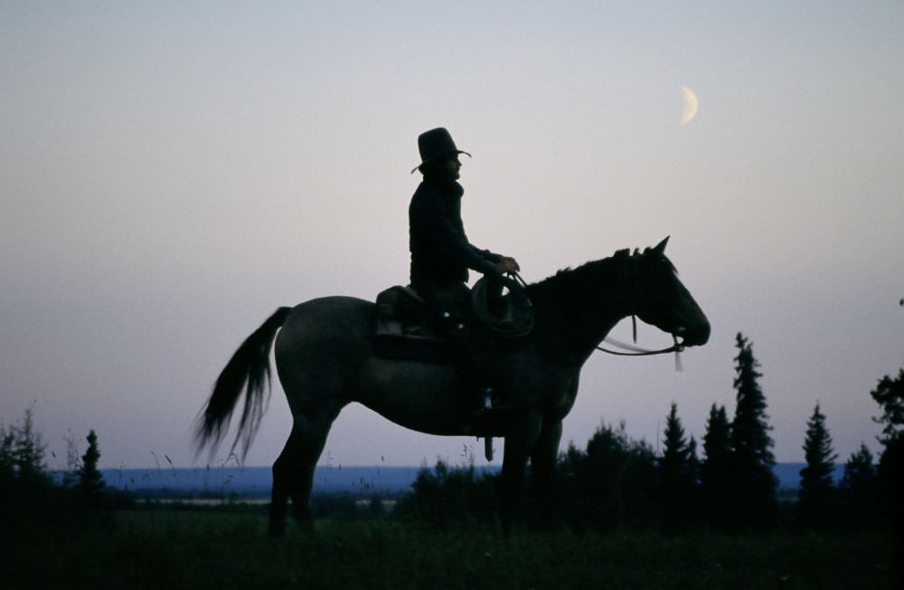 Horse and rider silhouette / Travel Alberta